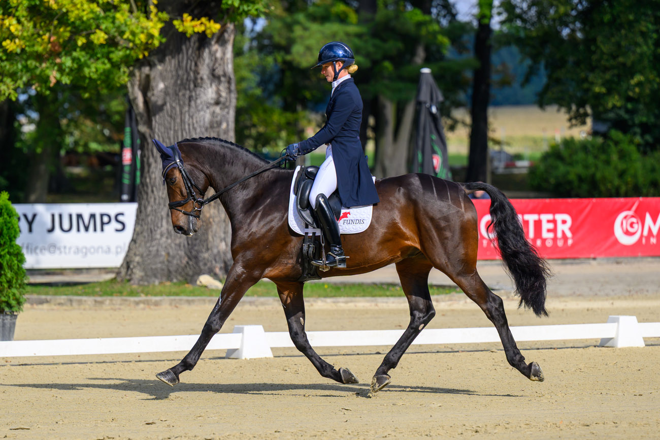 W Morawie trwa Strzegom October Festival. W weekend spektakularne pokazy [FOTO] 